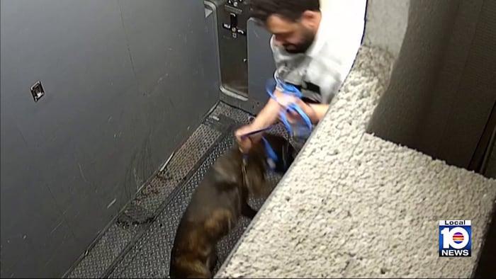 Police: Surveillance videos show man abusing dog in Miami elevator