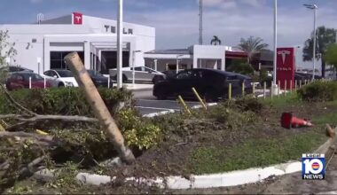 2 hospitalized after multi-vehicle crash near Miami Gardens Tesla dealership, authorities say