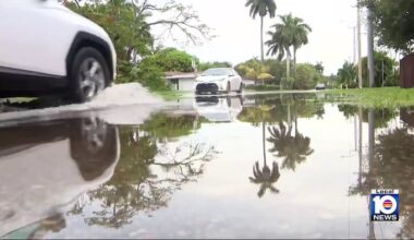 Heavy rain causes flooding issues for some Hollywood residents