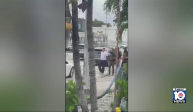 Miami chef on chilling effect of immigration policy: TPS causes worker shortage; ICE detention scares customers