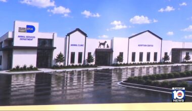 New animal shelter coming to southwest Miami-Dade