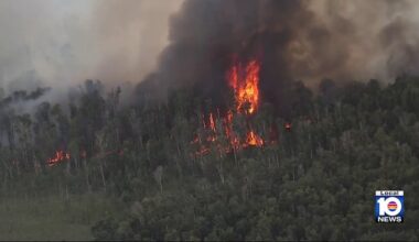 Smoke fills southwest Miami-Dade as brush fire burns near Krome Avenue