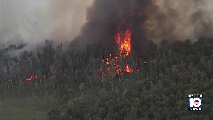 Smoke fills southwest Miami-Dade as brush fire burns near Krome Avenue