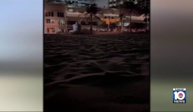 Video of disoriented turtle hatchlings crawling to hotel lights prompts backlash in Fort Lauderdale