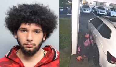 2 arrested after vehicle burglaries, thefts in Miami Springs, police say