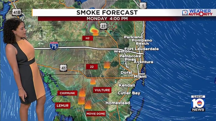 Active wildfires lower air quality to ‘moderate’ in western Miami-Dade