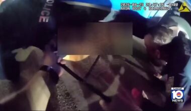 Video shows Miami Beach cops rescue woman who was pinned under SUV after crash