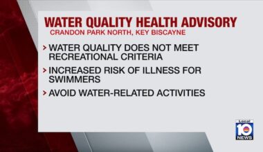 Water quality advisory issued for Crandon Park North