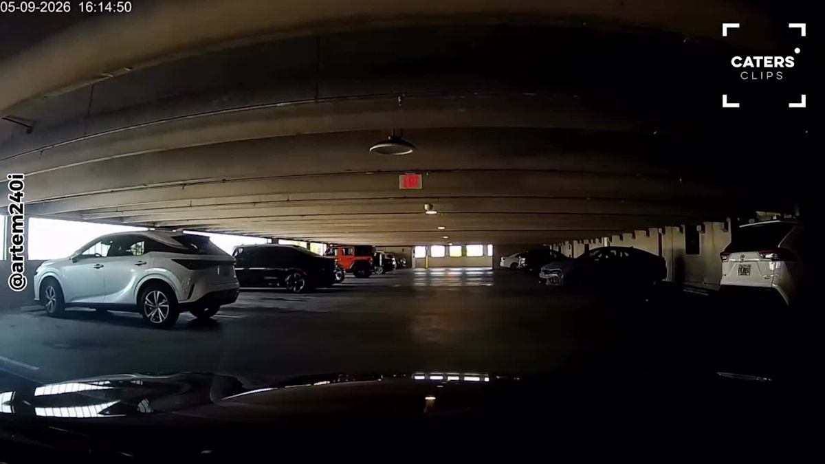Dashcam Captures Unexpected Danger in Miami Parking Lot