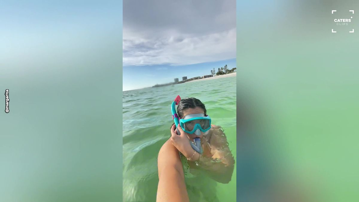 Snorkeling Trip Takes Unexpected Turn In Florida