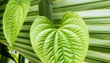 The Darwinian Gardener hits Florida's thermal barrier