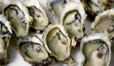 Florida’s Vibrio Death Toll Just Hit Two, and the Oyster Warnings Are Back