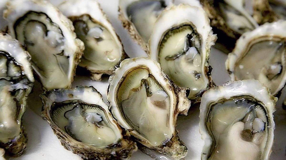 Florida’s Vibrio Death Toll Just Hit Two, and the Oyster Warnings Are Back