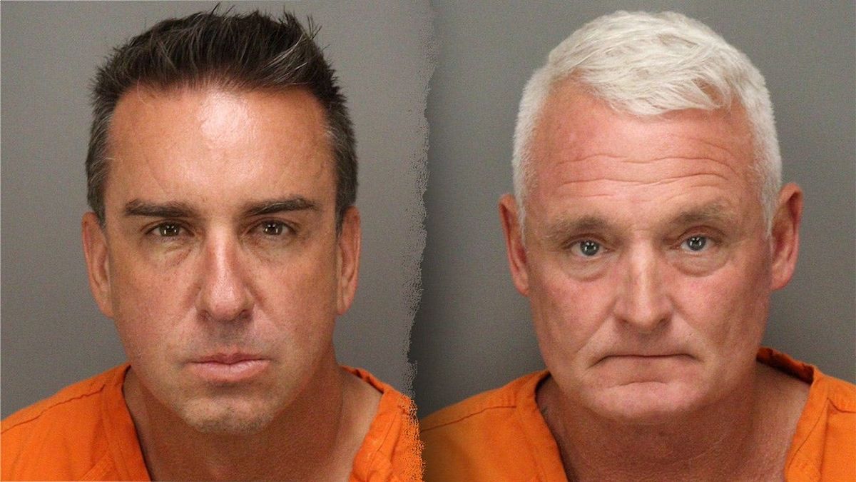 Florida business owners allegedly scattered 1,500 mothballs on beach to send endangered birds packing