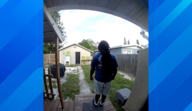 Florida Man Finds Human Scalp in Yard: "My Backyard Is a Crime Scene"