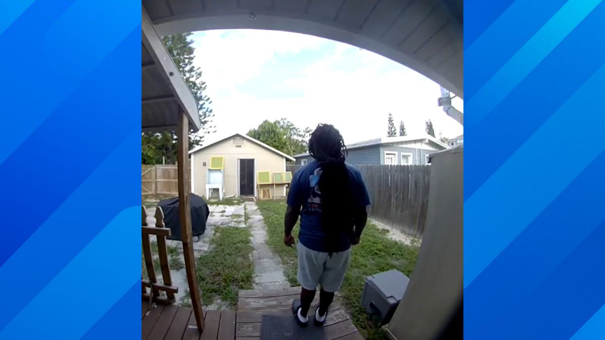 Florida Man Finds Human Scalp in Yard: "My Backyard Is a Crime Scene"