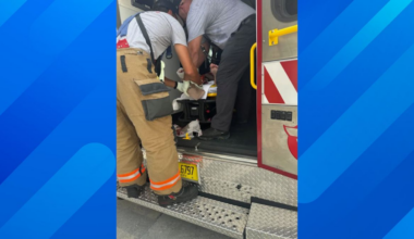 Florida Man Says Two Nurses Saved His Life After Nurse Shark Bit His Foot