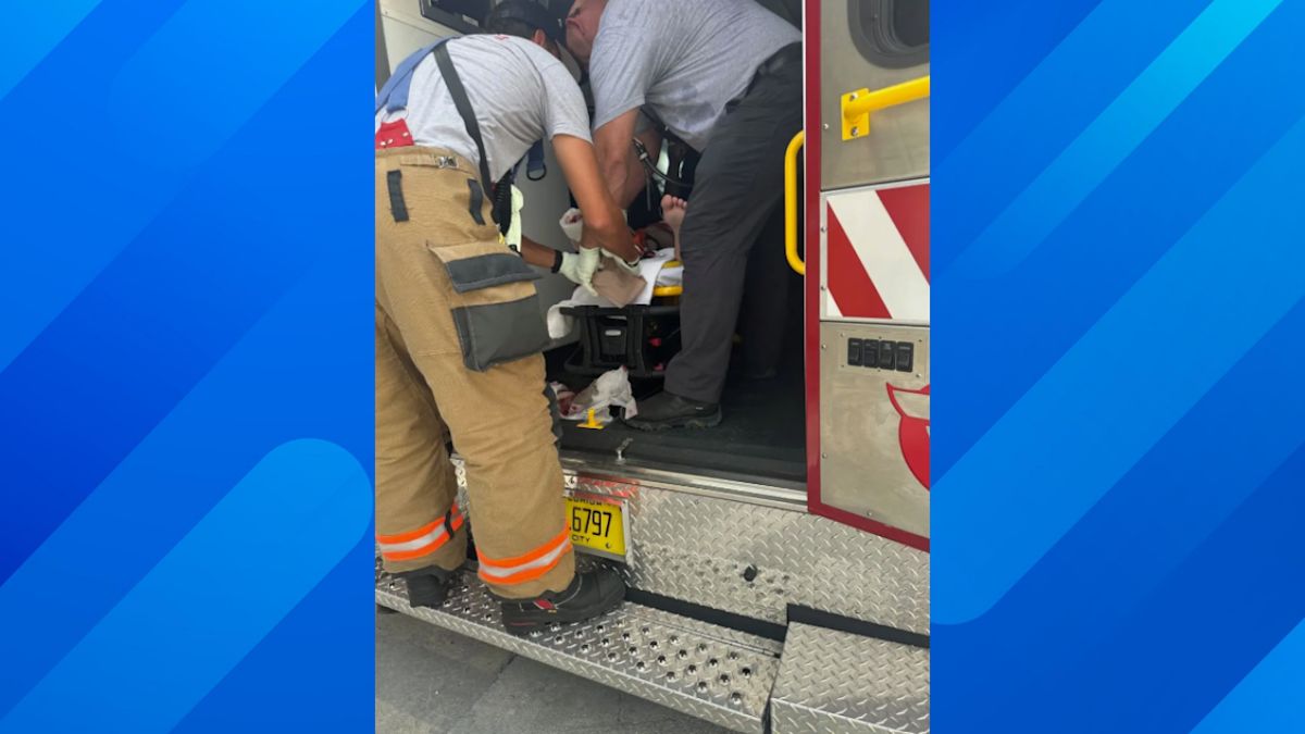 Florida Man Says Two Nurses Saved His Life After Nurse Shark Bit His Foot