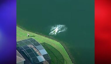 Wanted Florida Man Jumps Into Pond To Escape Deputies, Finds Them Waiting on the Other Side