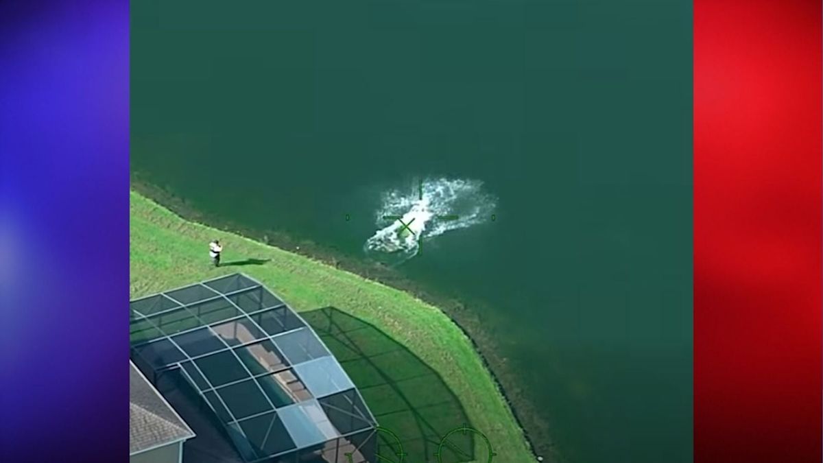 Wanted Florida Man Jumps Into Pond To Escape Deputies, Finds Them Waiting on the Other Side