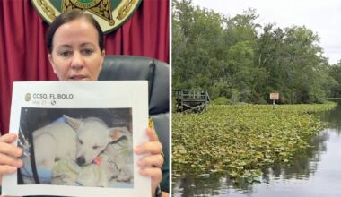 Viral Claim That Kids Tried To Drown Dog In Florida Was A ‘Lie’, Sheriff Says