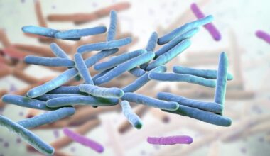 Leprosy cases climb in Florida: Here’s how to reduce your risk