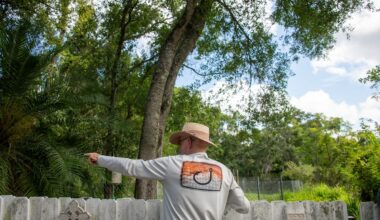 Tampa killed developers’ plan to pave over wetlands. A year later, they’re back