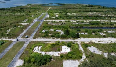 South Tampa real estate is booming. Why is this waterfront lot still empty?