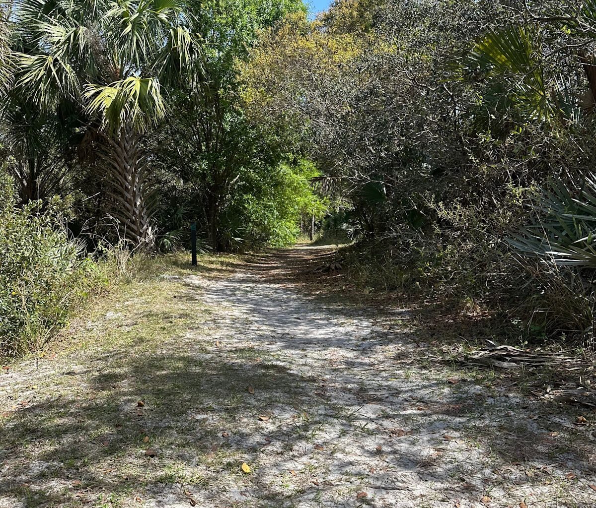 Fate of Florida park land might be up to voters