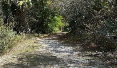 Fate of Florida park land might be up to voters