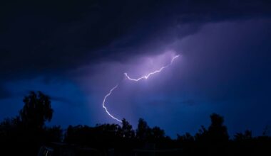 Lightning strike sparks Florida house fire, as crews race to rescue family dog