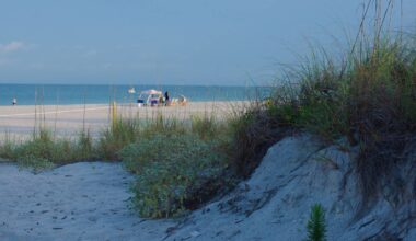 Florida business owners charged after 1,500 toxic mothballs were spread to deter nesting birds