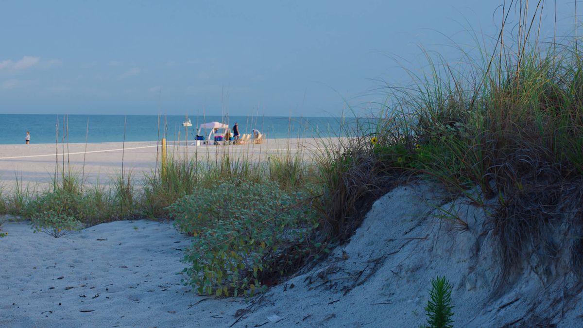 Florida business owners charged after 1,500 toxic mothballs were spread to deter nesting birds
