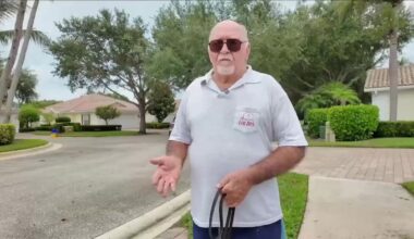 Florida HOA plans to remove up to 600 live oaks, and residents say notice was scarce