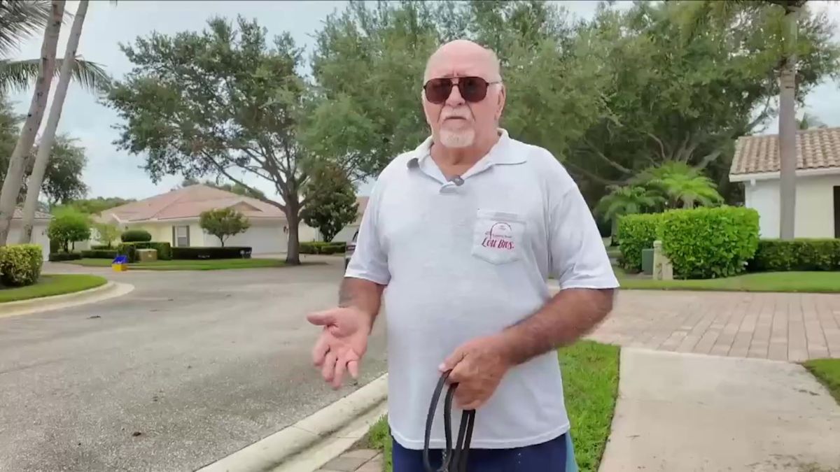 Florida HOA plans to remove up to 600 live oaks, and residents say notice was scarce