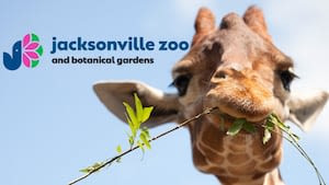 Jacksonville Zoo offers $9.04 discount for upcoming 904 Day celebrations