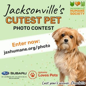 Jacksonville Humane Society Launches Cutest Pet Contest