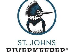 Riverkeeper, conservation trust sue Keystone Terminal in Jacksonville over ash near St. Johns River