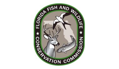 Florida wildlife officials investigate deadly bear shooting in Marion County