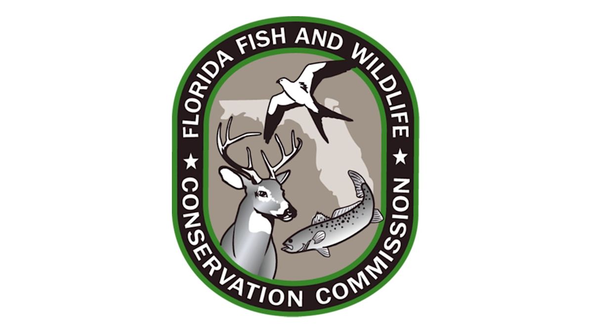 Florida wildlife officials investigate deadly bear shooting in Marion County