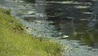 Jacksonville City Council member seeks retention pond safety measures after child drownings