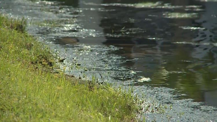 Jacksonville City Council member seeks retention pond safety measures after child drownings