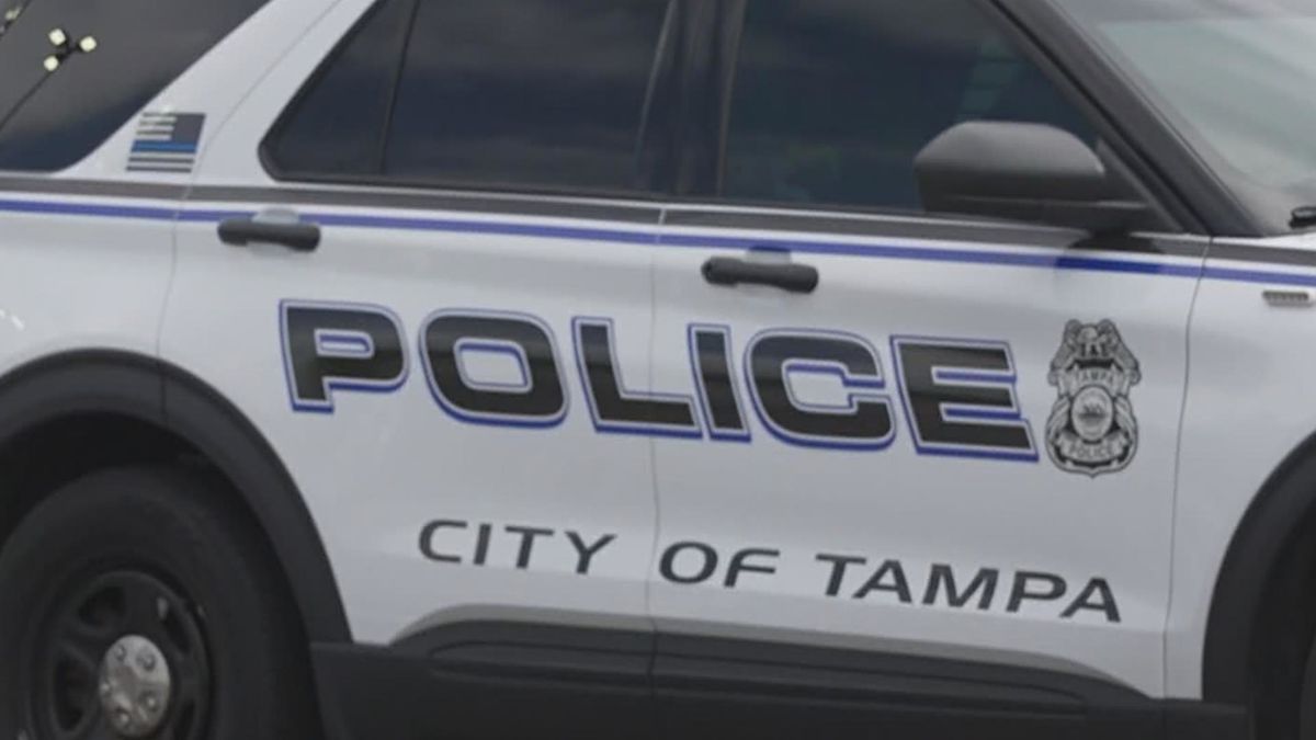 3 Tampa teens being charged as adults for attack on homeless man