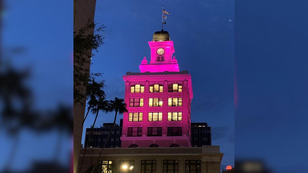 Tampa City Hall turns pink in honor of Dolly Parton
