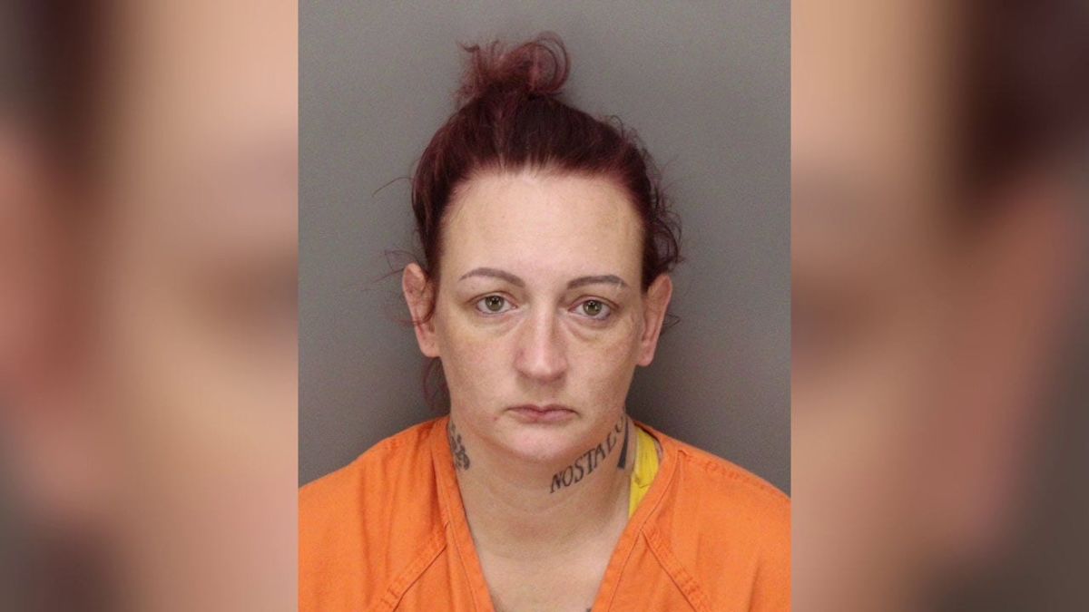 Deputies: Woman shoplifted at St. Petersburg Target while kids sat in hot car