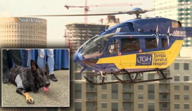 K9 Ace becomes first canine patient saved by Tampa General Aeromed