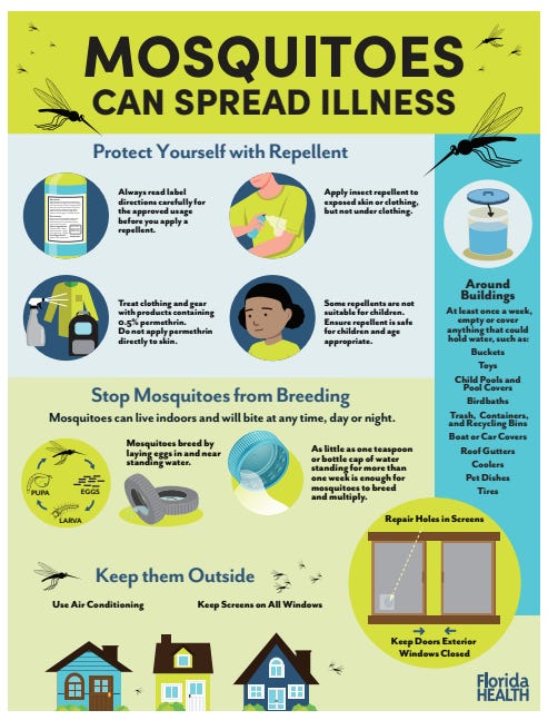 Dengue cases in the Tampa Bay area rise to 10