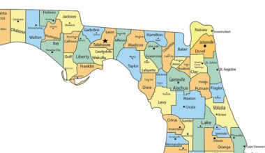 Florida reports 16 additional locally acquired dengue cases in past week