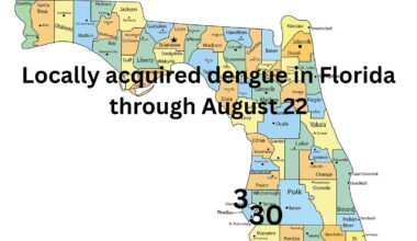Florida: Local dengue transmission cases double in Hillsborough County