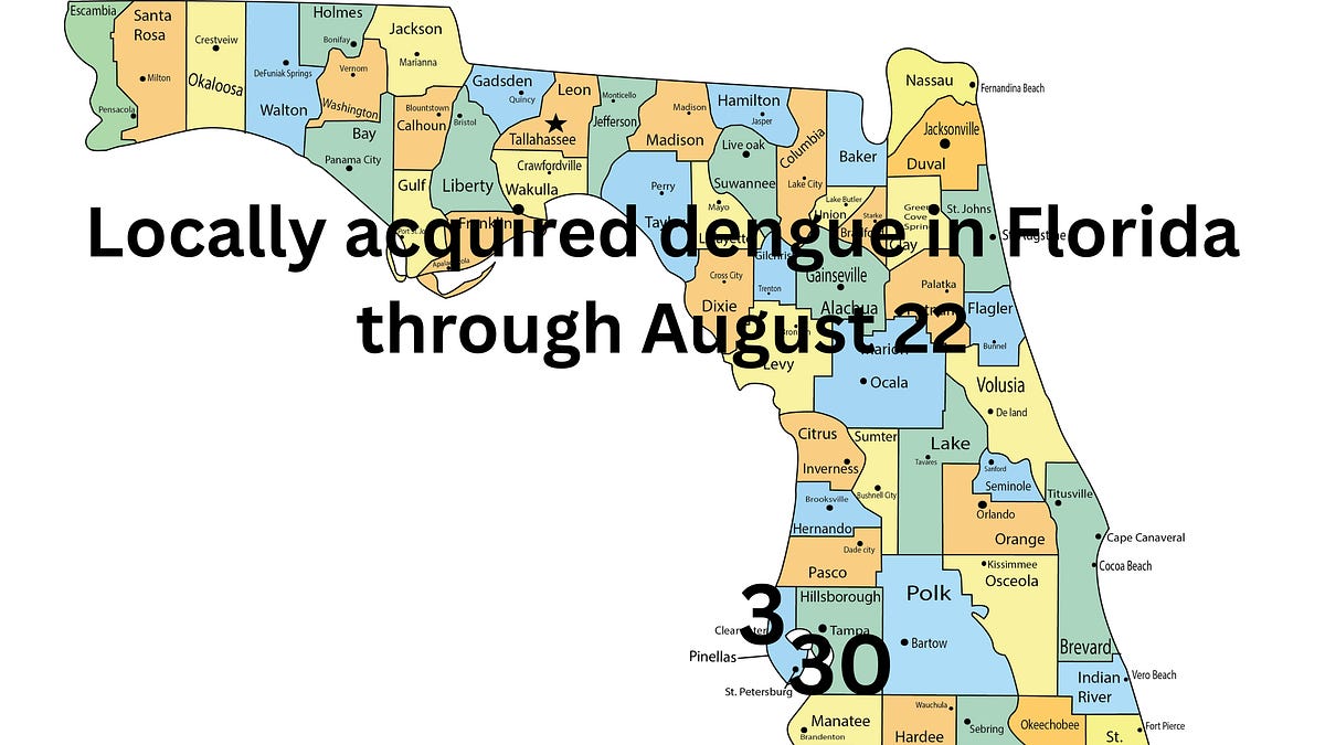 Florida: Local dengue transmission cases double in Hillsborough County